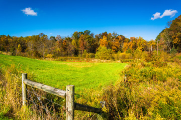 Fototapeta premium Fence in a field, in rural York County, Pennsylvania.