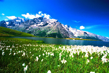LAC  PARC DES ECRINS