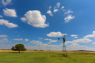White clouds above the green pasture