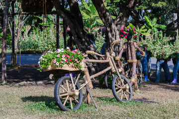 Gardening ideas with wooden bike.