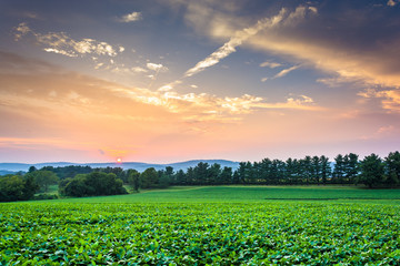 Incredible sunset sky over the Piegon Hills and farm fields, nea