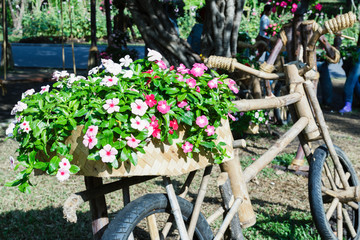 Gardening ideas with wooden bike.