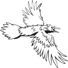 sketch of flying raven, black and white, outline