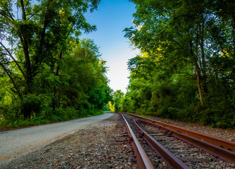 Railroad tracks along the Northern Central Railroad trail in Yor