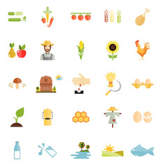 Variety Flat Style Farm Organic Food Icon