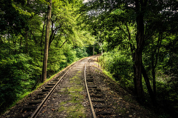 Railroad tracks through a forest in York County, Pennsylvania.