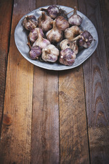 Garlic