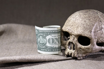Slull And Dollar