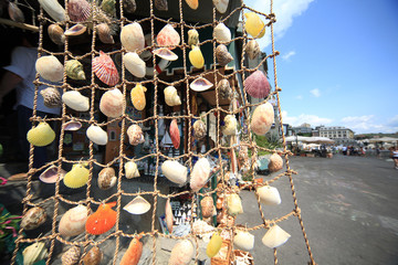 souvenir prodotti tipici porto venere conchiglie