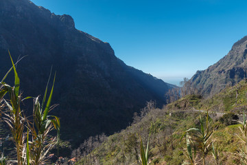 Mountain landscape. Madeira island, Portugal