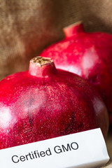 GMO pomegranates