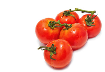 fresh tomatoes