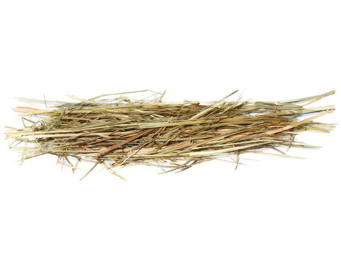 Pile Hay For Guinea Pigs Isolated On White Background