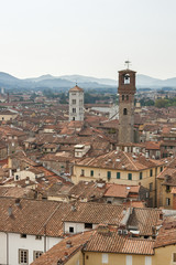 Obraz premium Lucca cityscape from Guinigi Tower, Tuscany, Italy