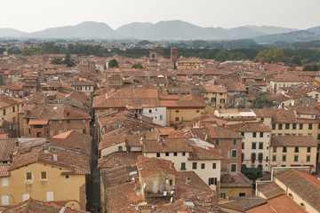 Fototapeta na wymiar Lucca cityscape from the Guinigi tower, Italy