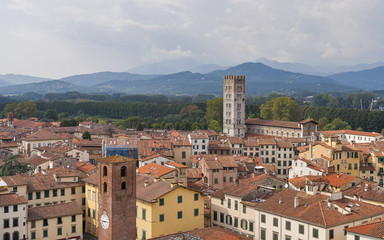 Fototapeta premium Lucca pejzaż z wieży Guinigi, Włochy