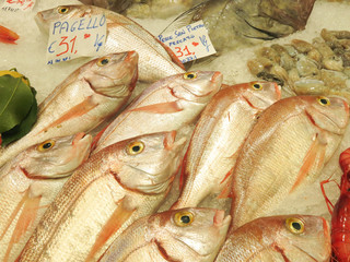 Pesce fresco al mercato