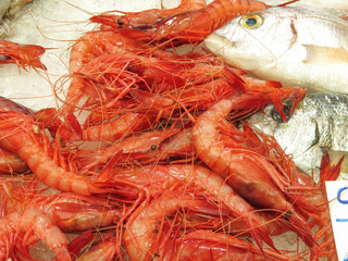 Gamberi rossi al mercato
