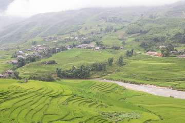 Fototapeta na wymiar rice terraces