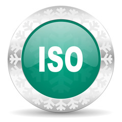 iso green icon, christmas button