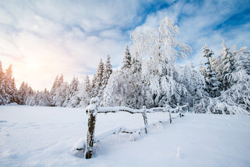 winter landscape
