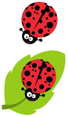 Cute Lady Bug Cartoon Character.  Collection Set