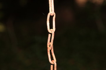 Obraz premium Verkettet