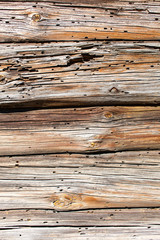 wood background