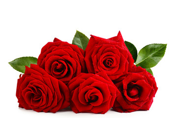 Bouquet of beautiful red roses isolated on white