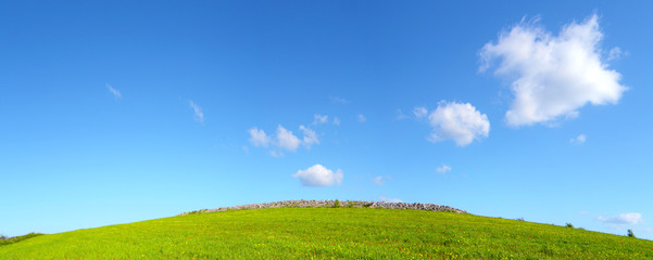 Obraz na płótnie Canvas Prato verde con cielo azzurro e nuvole - pianeta verde