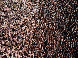 Cotton texture.