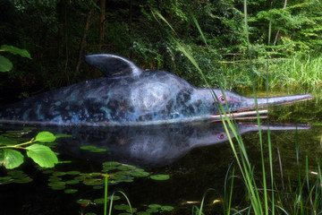 Ichthyosaurus