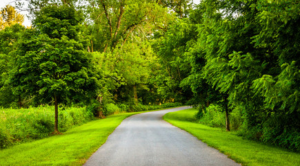 Fototapeta na wymiar Trees along a road in rural York County, Pennsylvania.