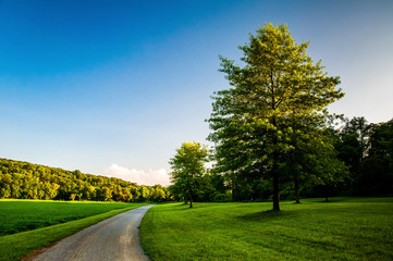 Trees and lawn along dirt path in Southern York County, Pennsylv
