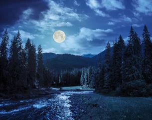 Papier Peint photo Rivière Rivière de montagne dans la forêt de pins la nuit