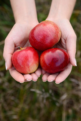 red apples