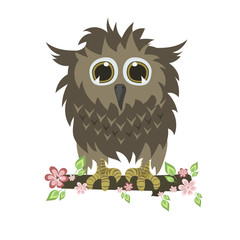 Little owl
