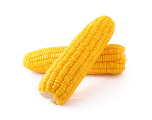 corn isolated on white background