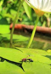 Blurred green colorful background texture