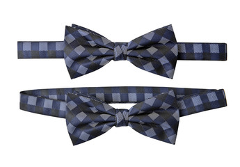 Blue striped bow tie