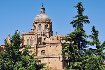 Fototapeta na wymiar New Cathedral of Salamanca, Spain with trees