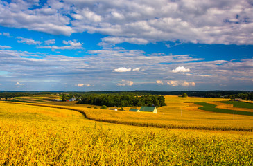Obraz premium View of farm fields and rolling hills from a hill in rural York