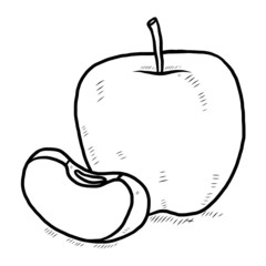 apple sketch