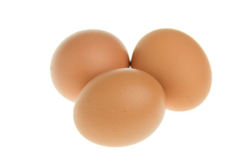 Eggs on a white background