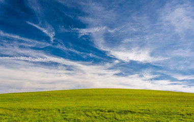 Obraz premium Wispy clouds over a grassy hill in York County, Pennsylvania.