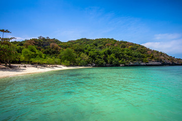 Tropical white sand beach with trees.