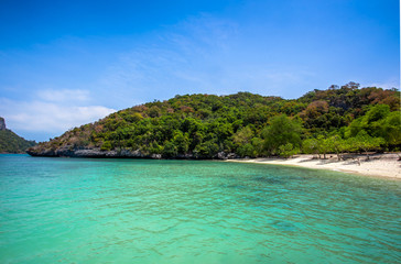Tropical white sand beach with trees.