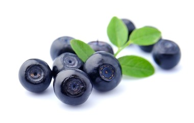 Blueberries