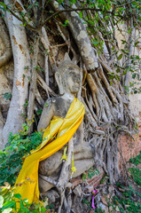 Temple of Ayuthaya, Thailand,