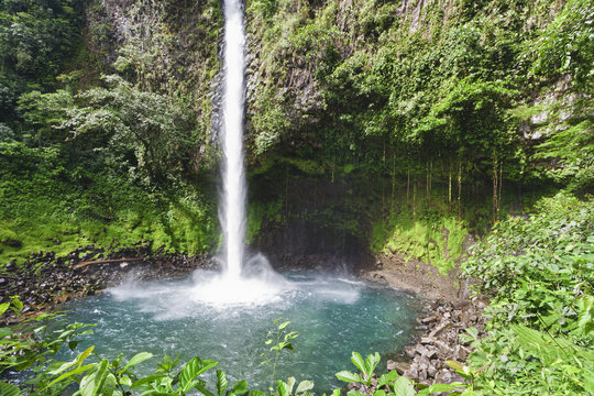Waterfall with emerald pool in rainforest